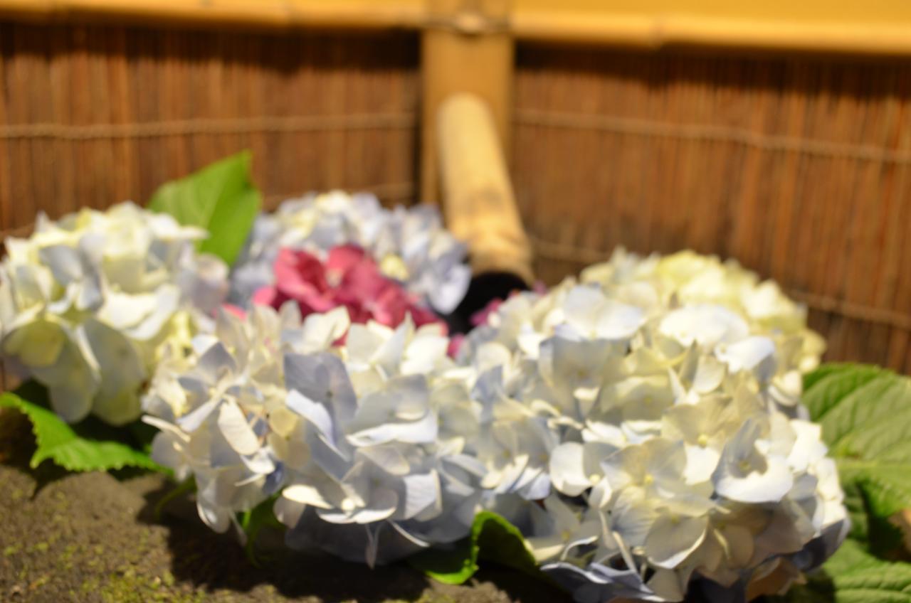 Japanese Inn Jizoan มิยาซากิ ภายนอก รูปภาพ